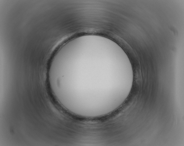 X0000114160208200910081140