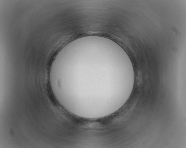 X0000114160210200910081140