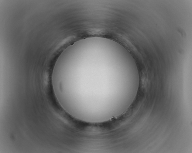 X0000114160211200910081140