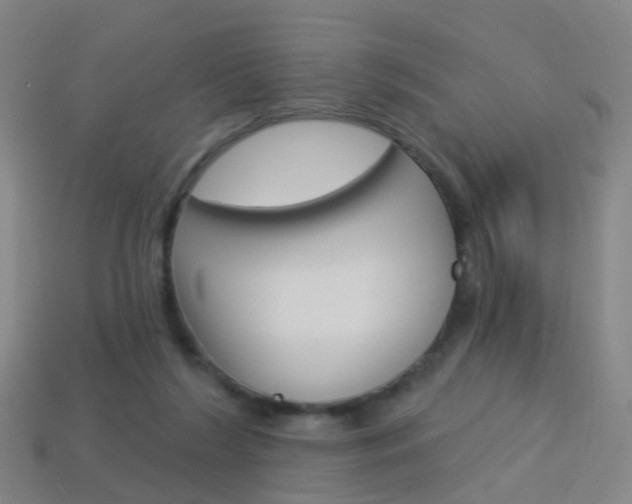 X0000114160212200910081140