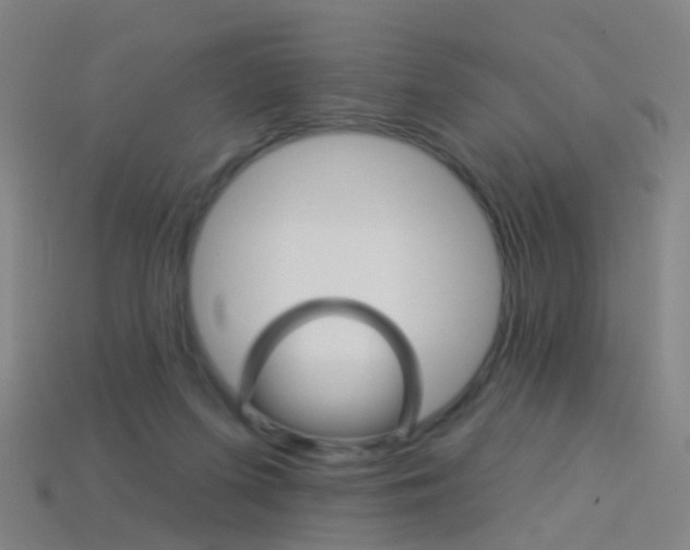 X0000114160215200910081140