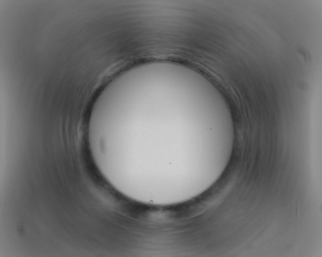 X0000114160216200910081140