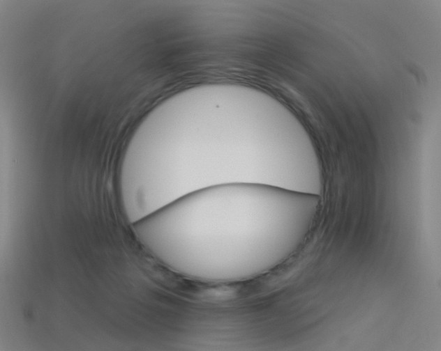 X0000114160217200910081140