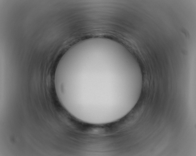X0000114160220200910081140