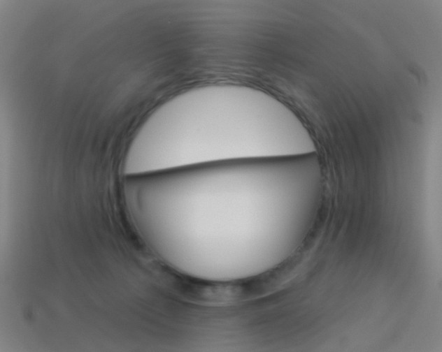 X0000114160225200910081140