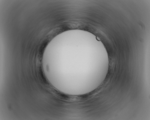 X0000114160226200910081140