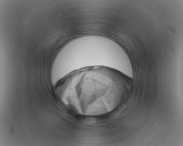 X0000114160227200910081140