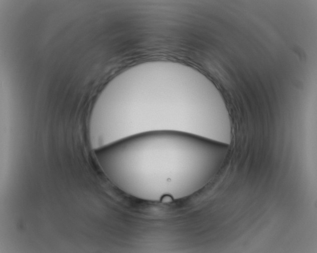 X0000114160229200910081140