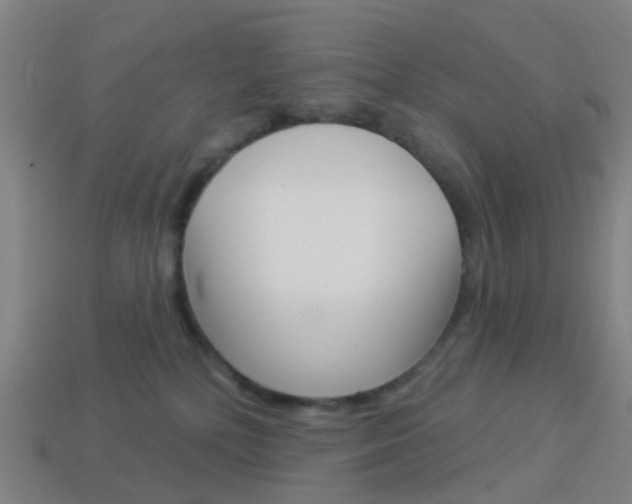 X0000114160232200910081140