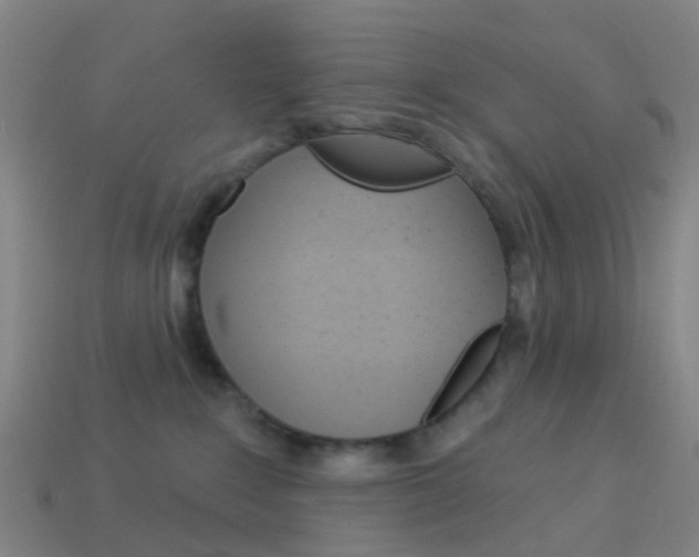 X0000114160235200910081140