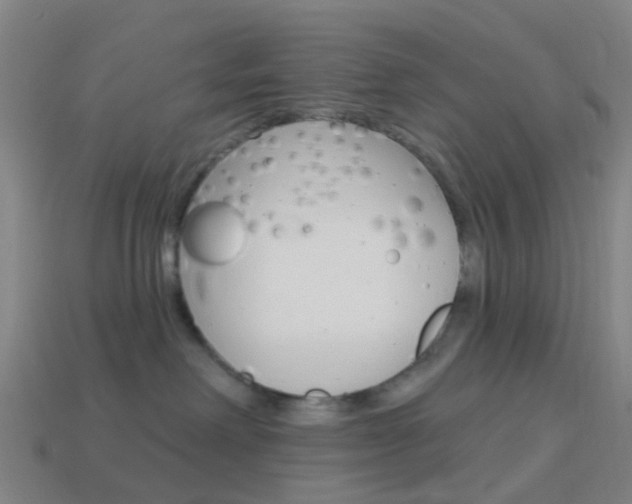 X0000114160238200910081140