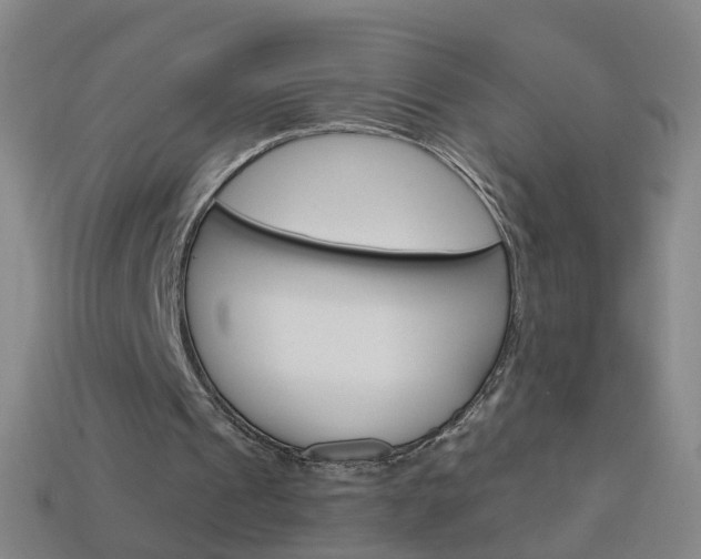X0000114160241200910081139