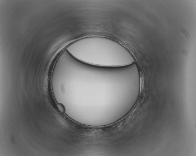 X0000114160243200910081139