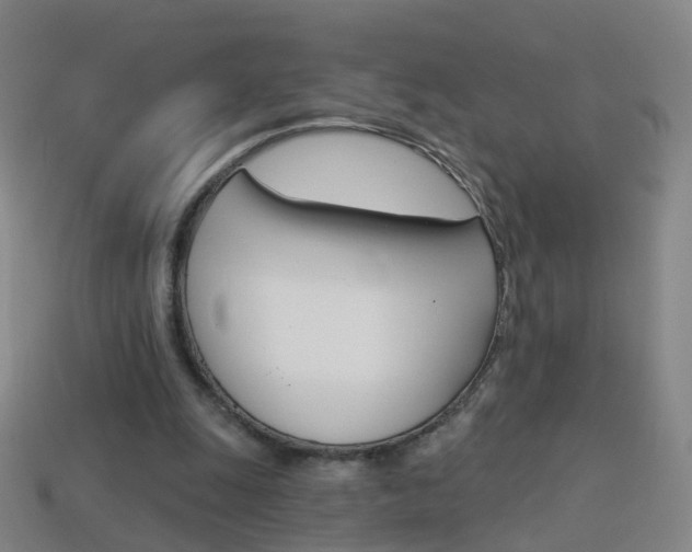 X0000114160247200910081139