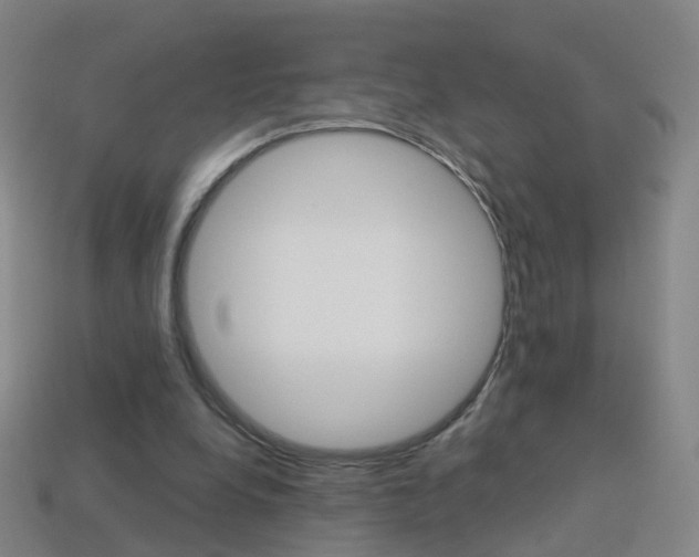 X0000114160248200910081139