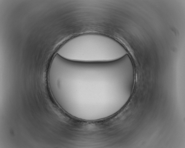 X0000114160249200910081139