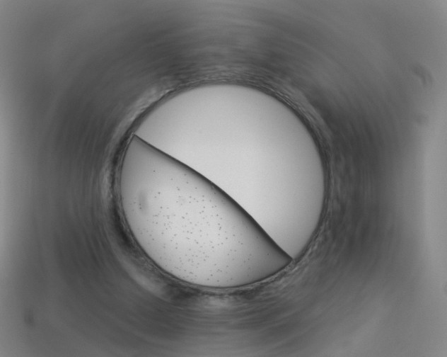X0000114160250200910081139