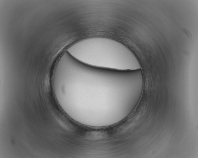 X0000114160251200910081139