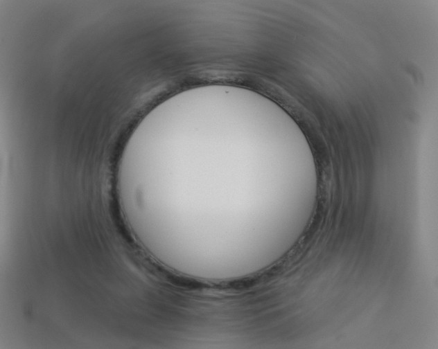 X0000114160255200910081139
