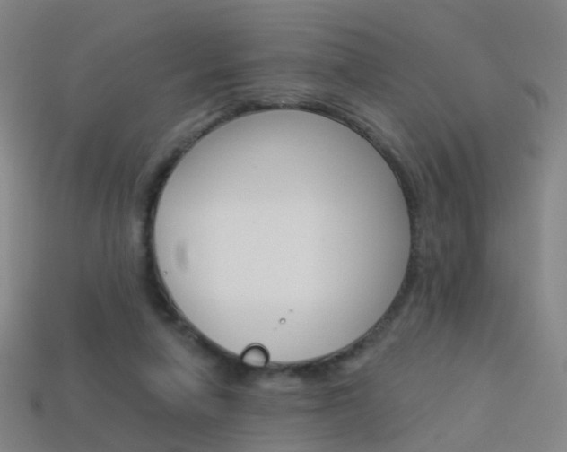 X0000114160258200910081139
