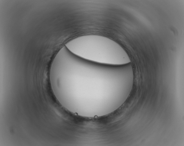 X0000114160259200910081139