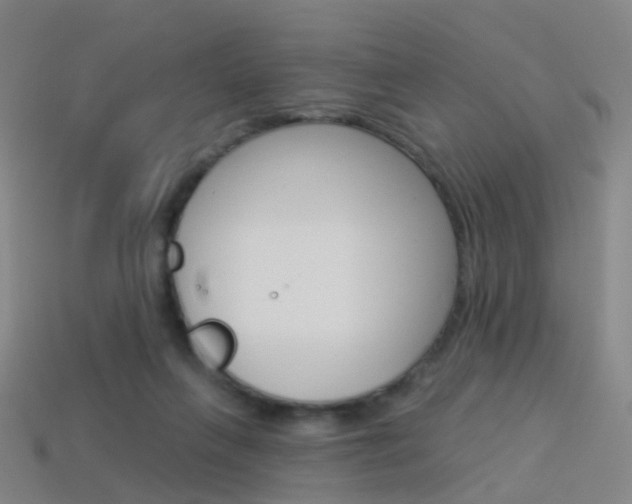 X0000114160263200910081139