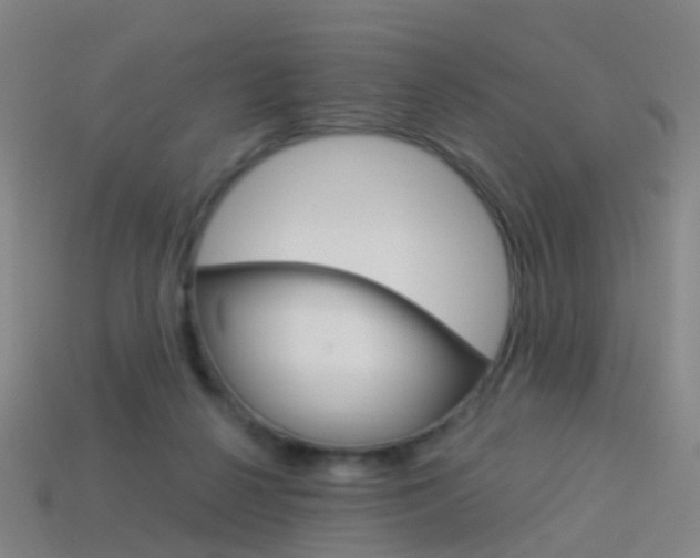 X0000114160264200910081139