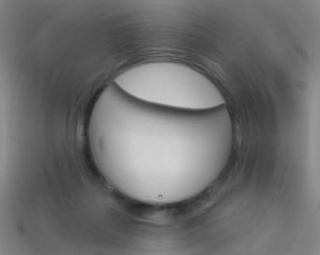 X0000114160267200910081139