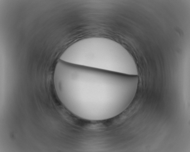 X0000114160278200910081140