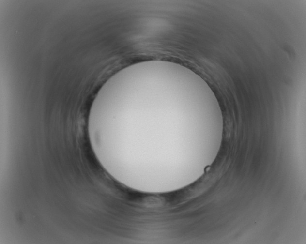 X0000114160279200910081140