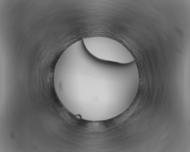 X0000114160281200910081140