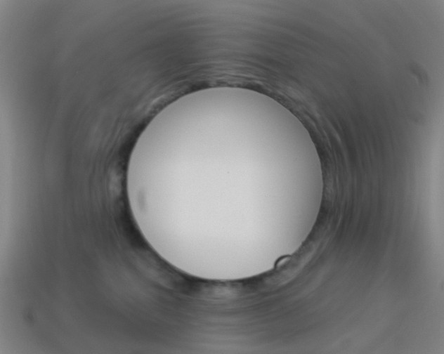 X0000114160282200910081140