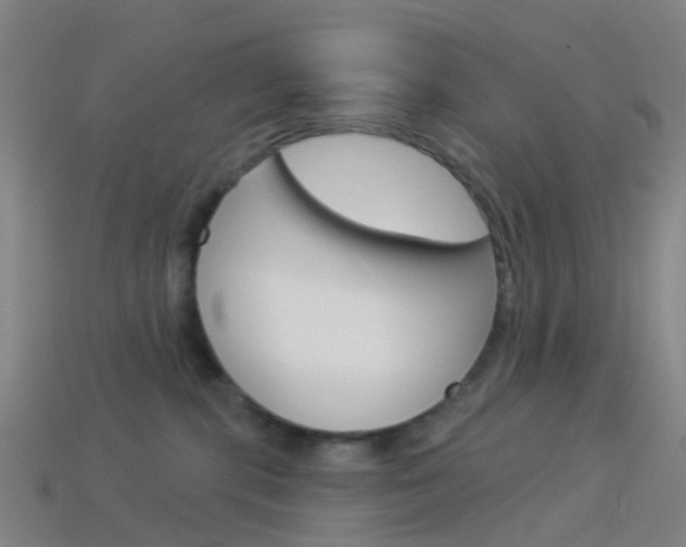 X0000114160283200910081140