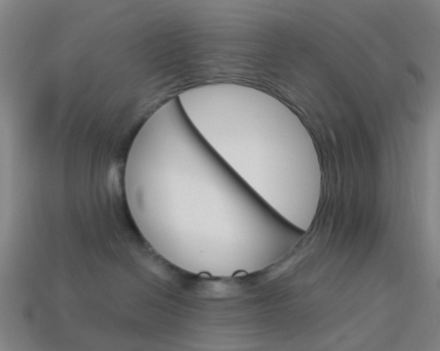 X0000114160286200910081140