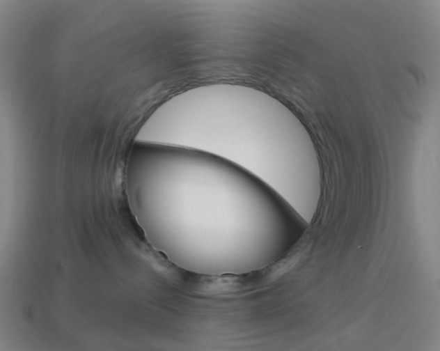 X0000114160288200910081140