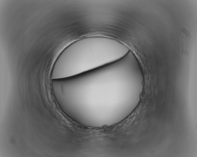 X0000114160289200910081139