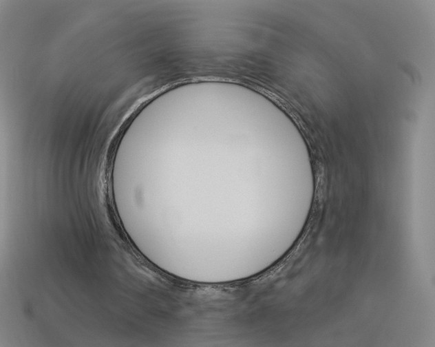 X0000114160290200910081139