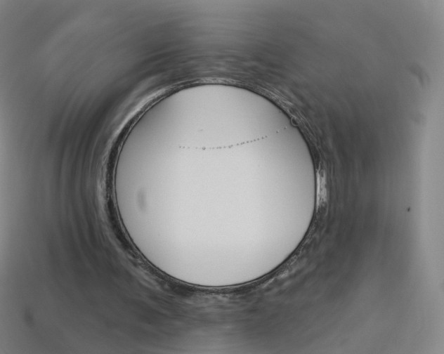 X0000114160291200910081139