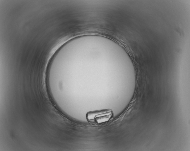 X0000114160292200910081139