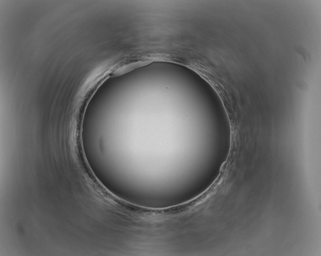X0000114160293200910081139