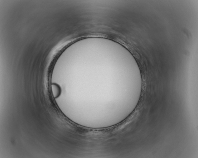 X0000114160294200910081139