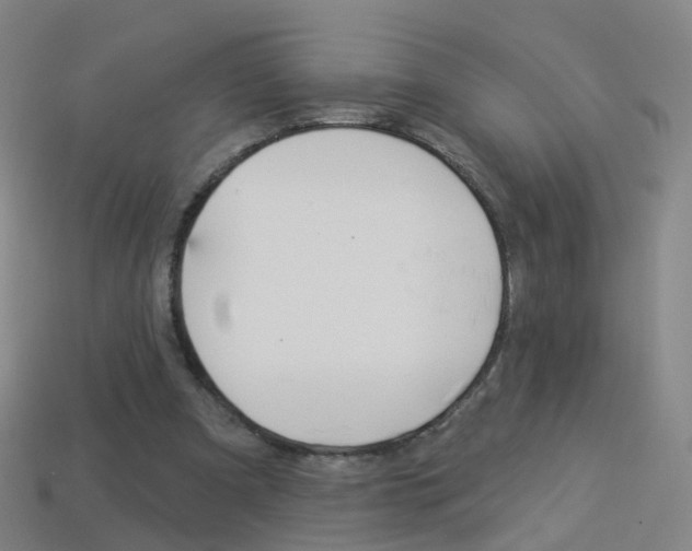 X0000114160297200910081139