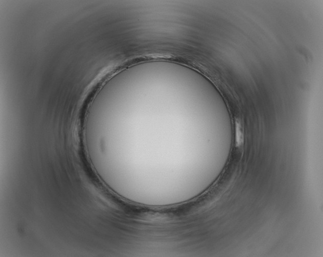 X0000114160300200910081139