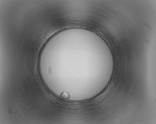 X0000114160301200910081139