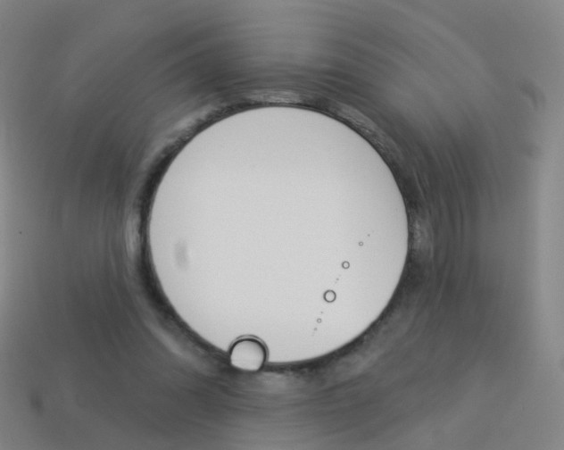 X0000114160302200910081139