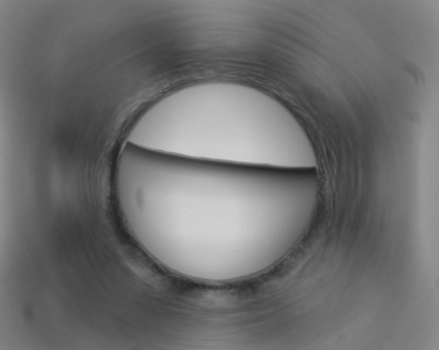 X0000114160303200910081139