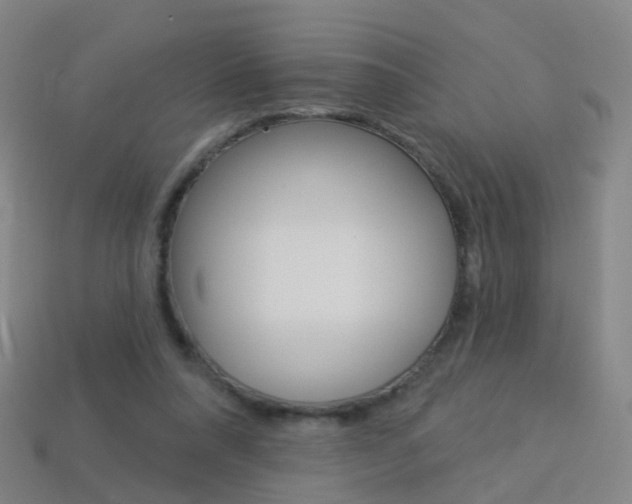 X0000114160304200910081139