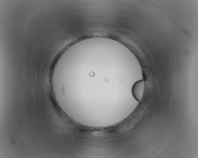 X0000114160306200910081139