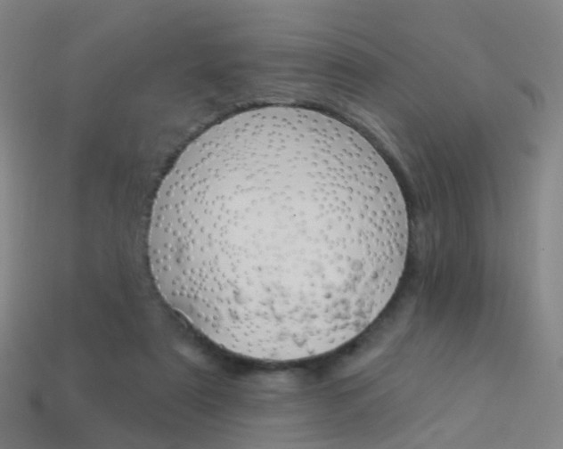 X0000114160307200910081139