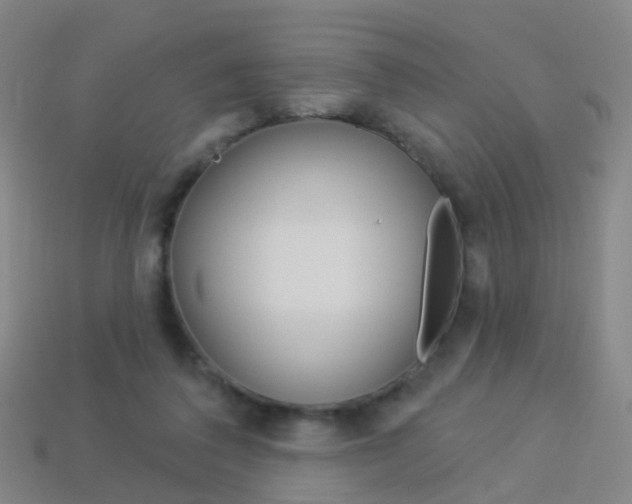X0000114160308200910081139